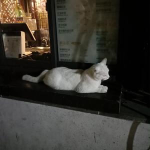 舞香阿姨演的电影大全
