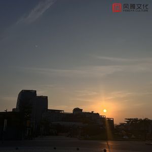 舞香阿姨演的电影大全
